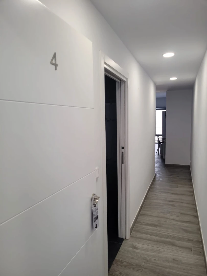 Bright shared room for rent in Zaragoza