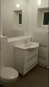 Privatzimmer in der Karl-Marx-Straße, Babelsberg, bild 6 von 10