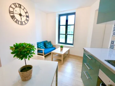 Stanza privata in Metz, 57000, immagine 1 di 10