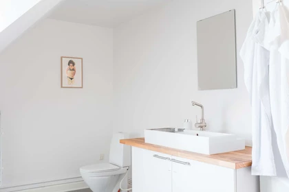 Stanza privata in Copenhagen, Denmark, immagine 15 di 20