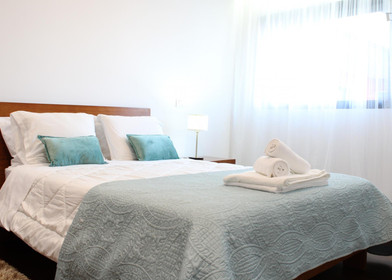 Modern and bright flat in coimbra