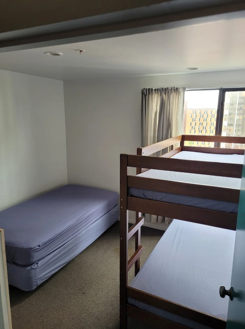 Room for rent with double bed Auckland
