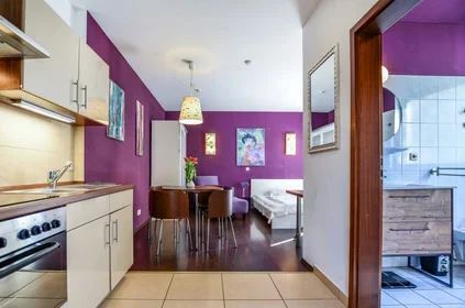 Appartamento completamente ristrutturato a {area}