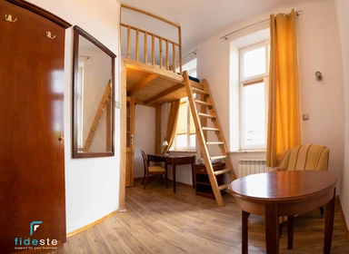 Chambre à louer dans un appartement en colocation à Krakow