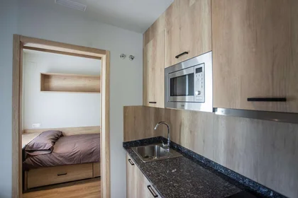 Chambre privée en résidence à Gabriel Aresti Hiribidea, image 1 de 15