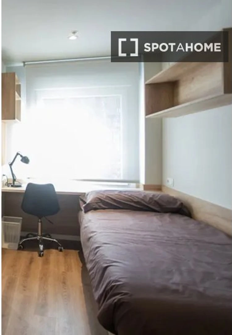 Chambre à louer avec lit double Bilbao