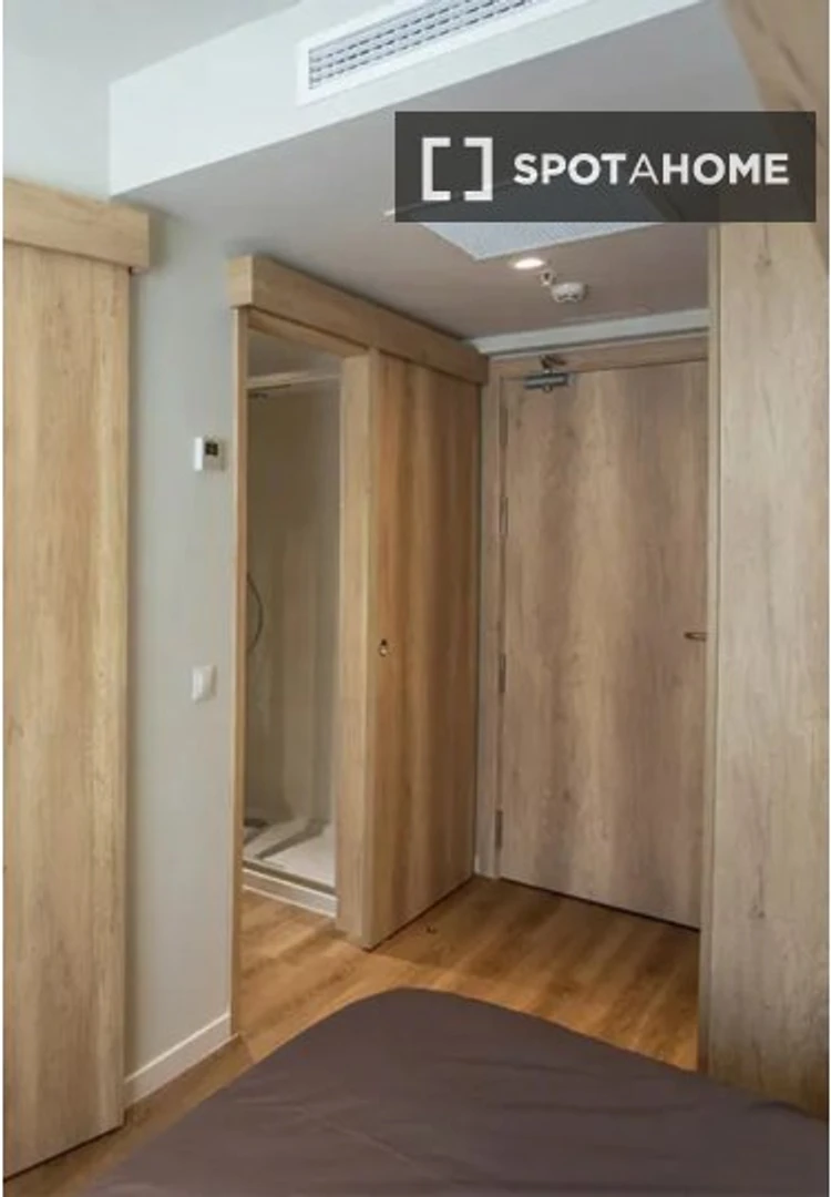 Bilbao de ortak bir dairede kiralık oda