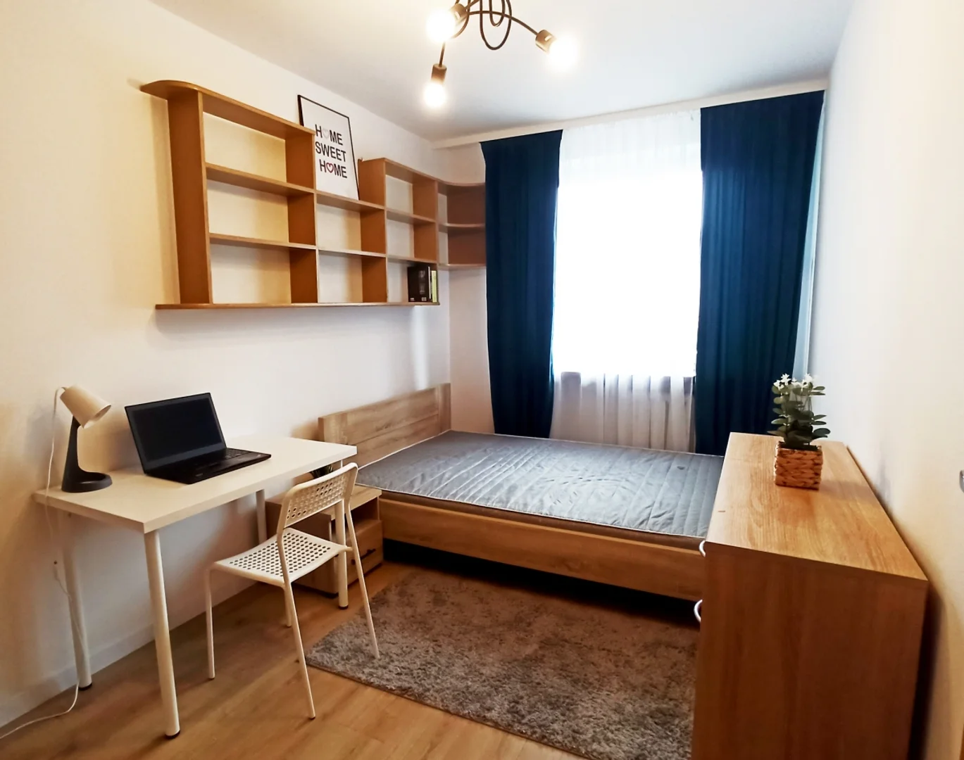 'da öğrenciler için yeterli aydınlatmaya sahip uygun fiyatlı oda