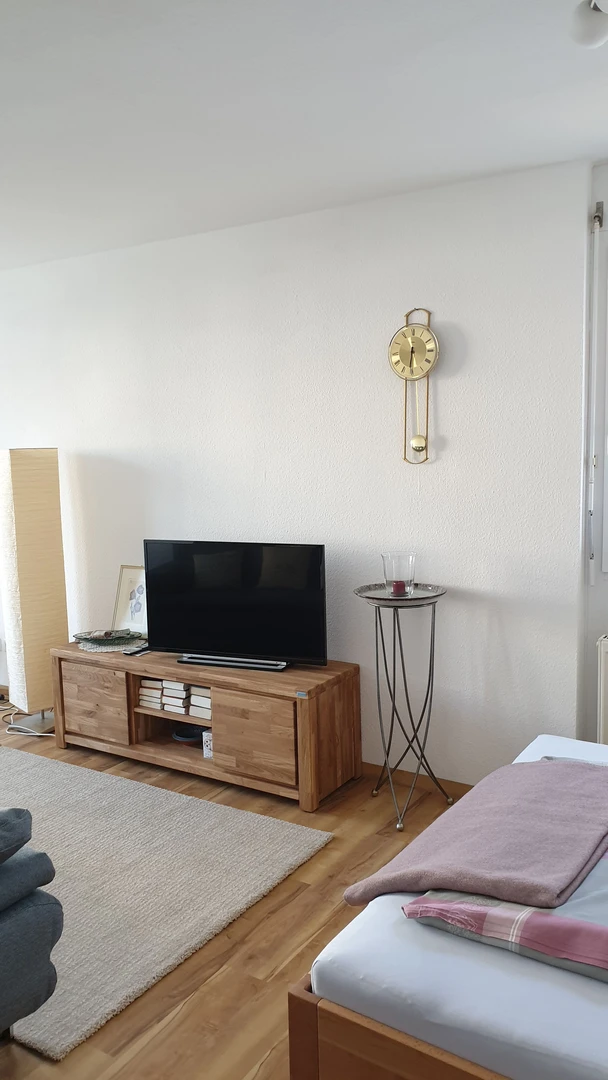 Chambre à louer dans un appartement en colocation à freiburg-im-breisgau