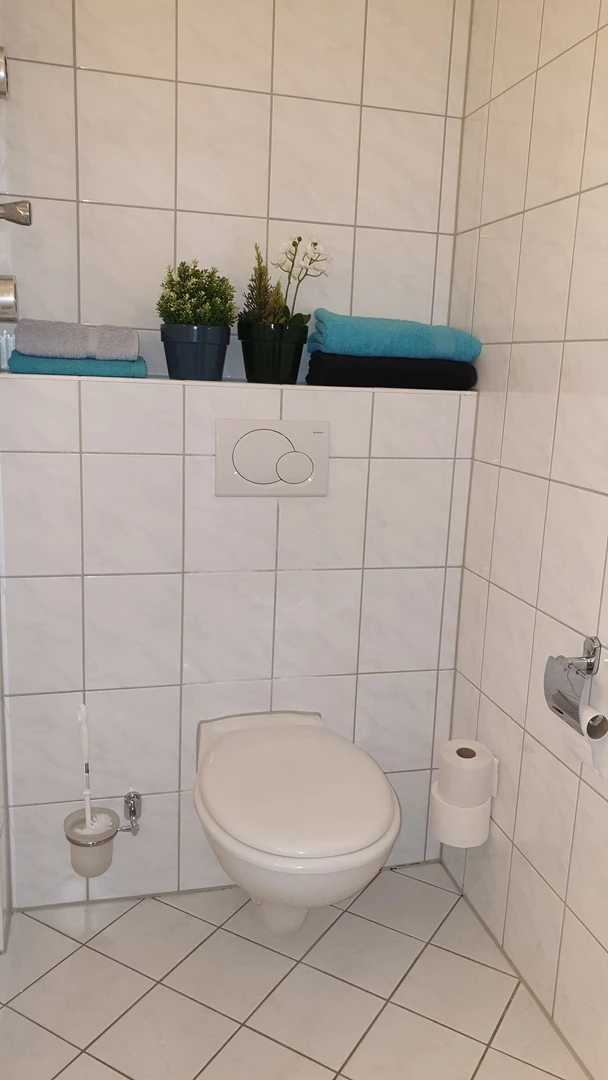 Cheap private room in Freiburg Im Breisgau