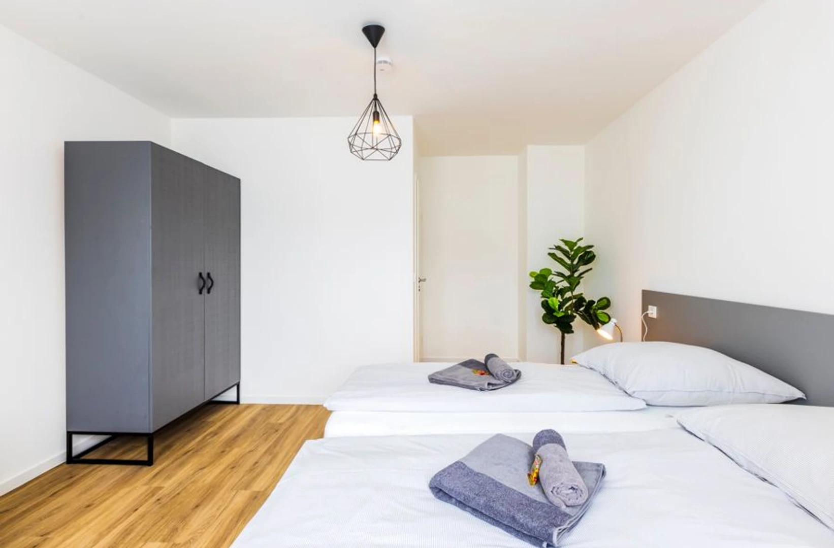 Bright private room in Mülheim An Der Ruhr