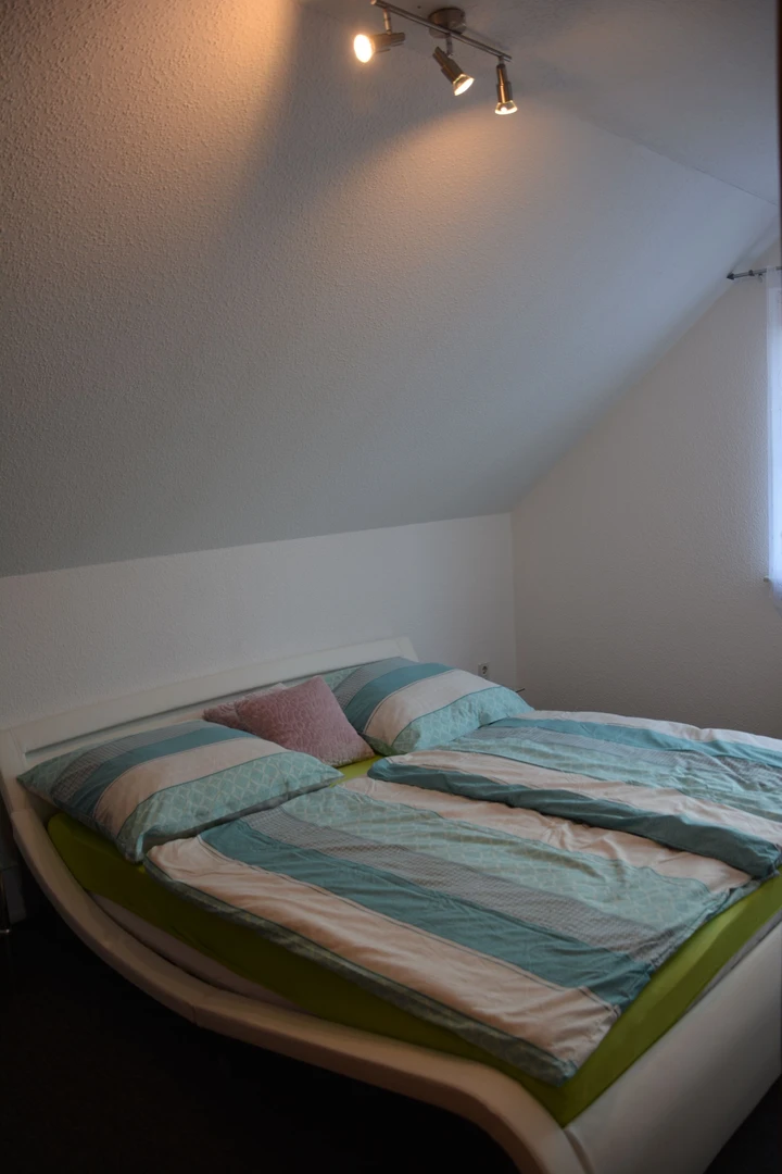 Bright private room in Dresden