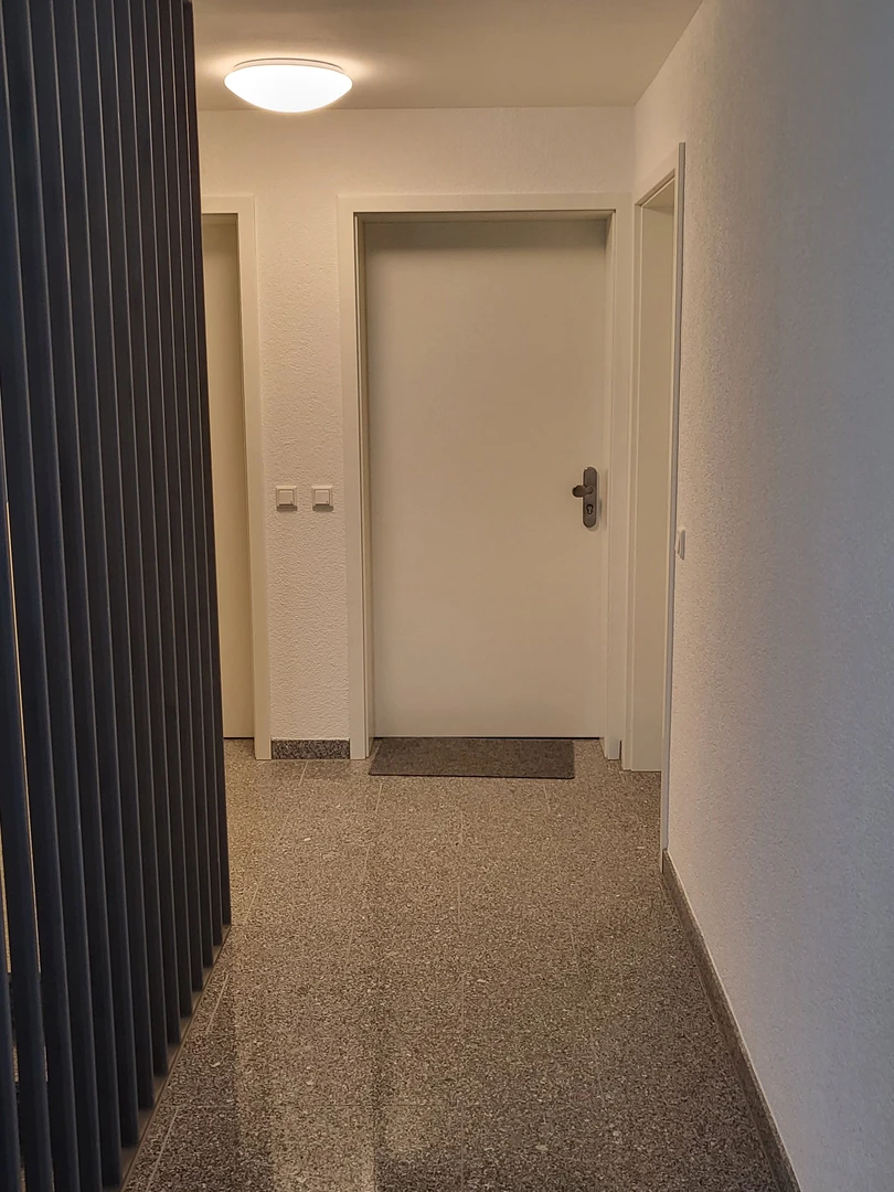 Darmstadt de aylık kiralık oda