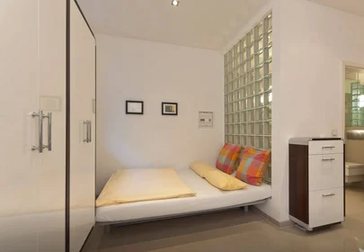 Chambre à louer dans un appartement en colocation à {area}