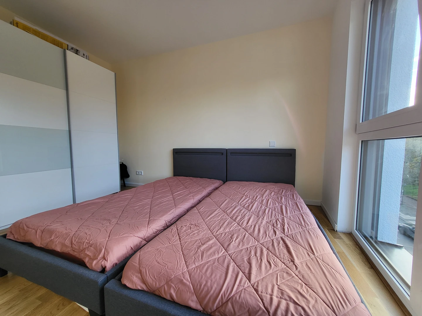 Cheap private room in Darmstadt