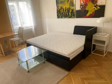 Toda a acomodação em Hollgasse, 8, imagem 2 de 8