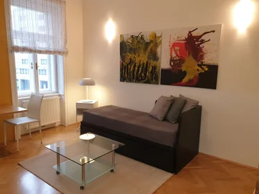 Toda a acomodação em Hollgasse, 8, imagem 3 de 8