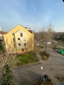Privatzimmer in der Perreystraße, bild 24 von 33