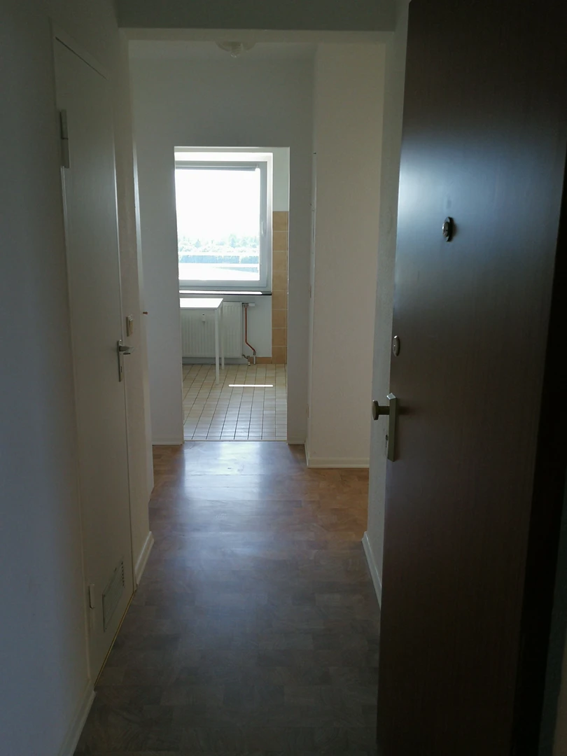 Alquiler de habitaciones por meses en Mainz