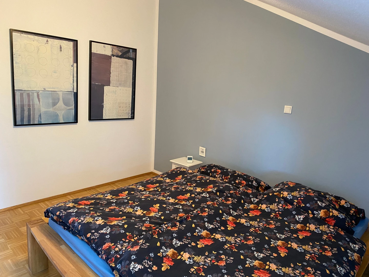 Cheap private room in mainz