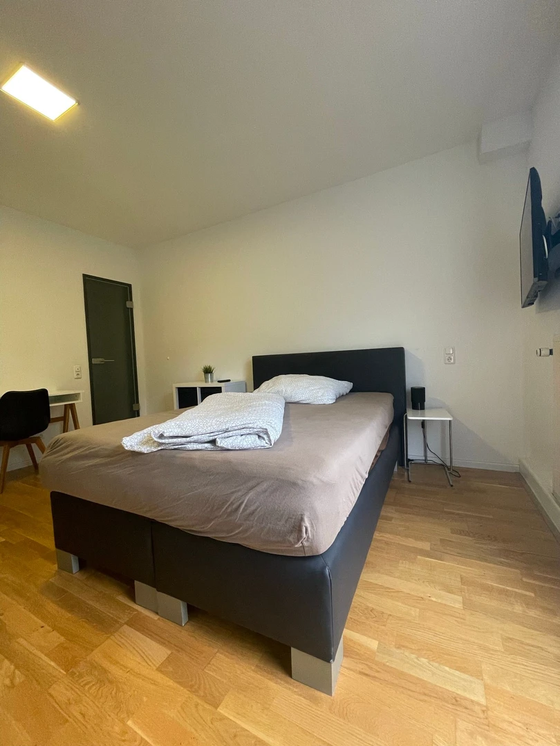 Room for rent in a shared flat in Karlsruhe