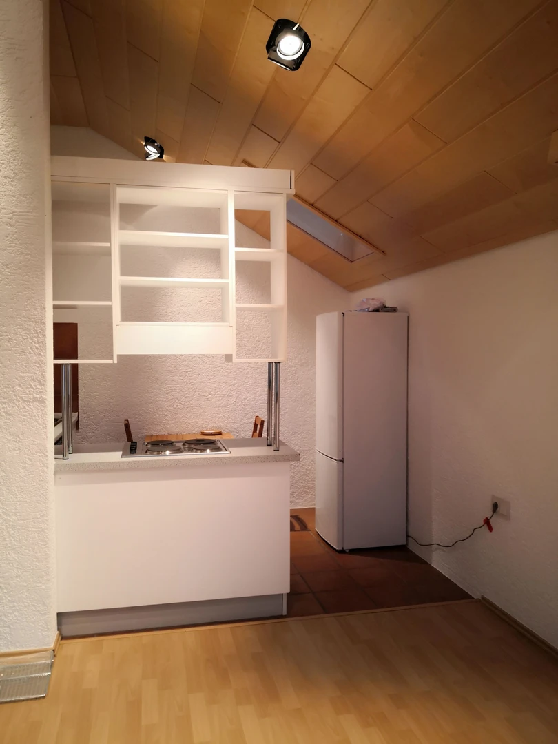 Renting rooms by the month in Mainz
