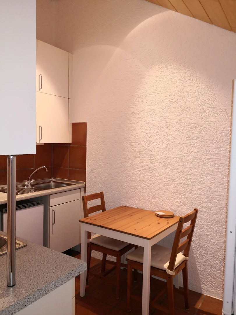 Renting rooms by the month in Mainz