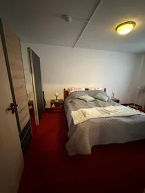 整套公寓 在 Kaulbachstraße, 49的图像21