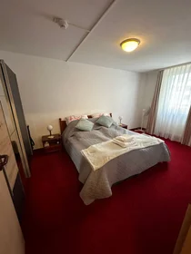 整套公寓 在 Kaulbachstraße, 49的图像26