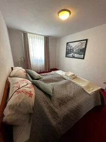 整套公寓 在 Kaulbachstraße, 49的图像27