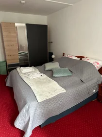 整套公寓 在 Kaulbachstraße, 49的图像29