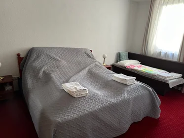 整套公寓 在 Kaulbachstraße, 49的图像32