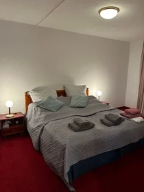 整套公寓 在 Kaulbachstraße, 49的图像33