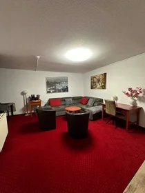 整套公寓 在 Kaulbachstraße, 49的图像36