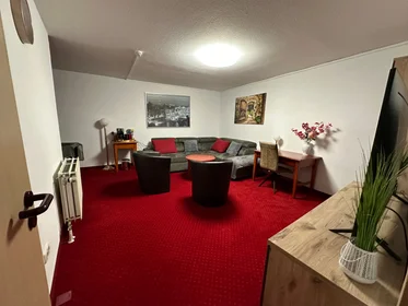 整套公寓 在 Kaulbachstraße, 49的图像40