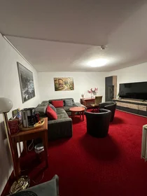 整套公寓 在 Kaulbachstraße, 49的图像48