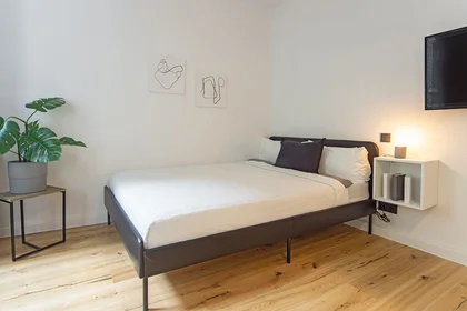 Entire apartment at Klarissenstraße, image 8 of 11