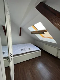 Habitación privada en Friedbergstraße, imagen 13 de 26