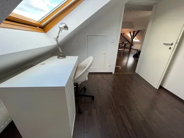 Habitación privada en Friedbergstraße, imagen 17 de 26