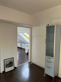 Habitación privada en Friedbergstraße, imagen 22 de 26