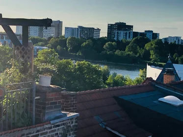 Monolocale in Bergheimer Straße, 120, immagine 23 di 26