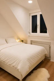 Estudio en Bergheimer Straße, imagen 8 de 12