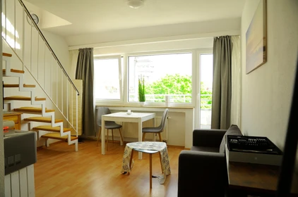 Entire fully furnished flat in Dusseldorf