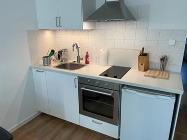 Appartamento intero in Köbisstraße, immagine 26 di 30