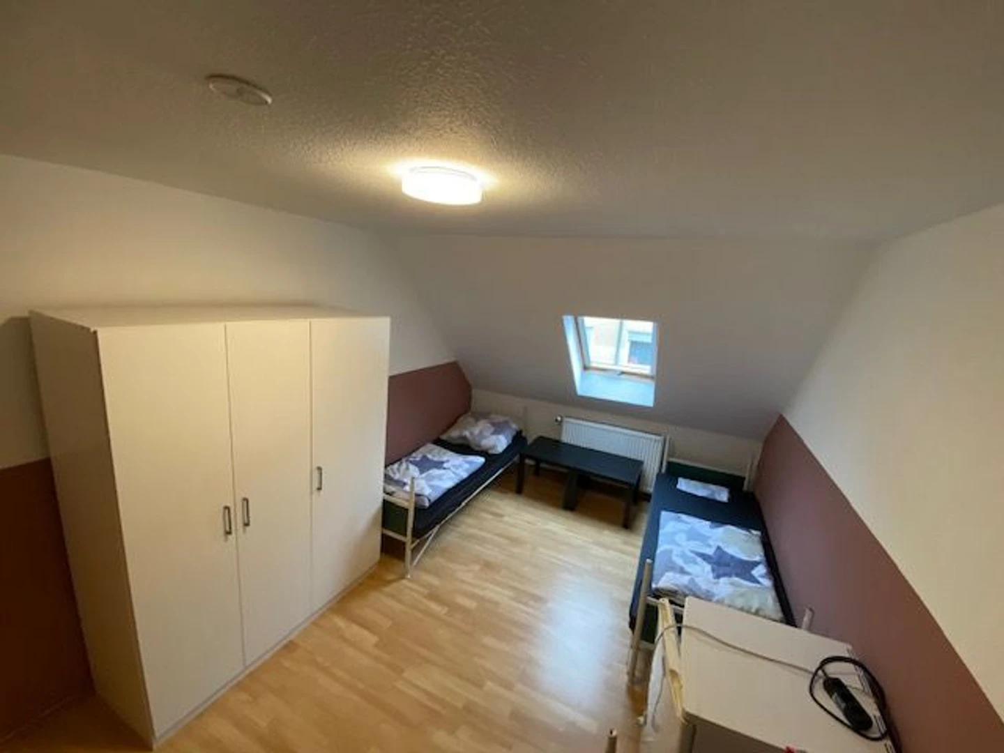 Bright private room in Ludwigshafen Am Rhein