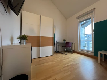 Entire fully furnished flat in Karlsruhe