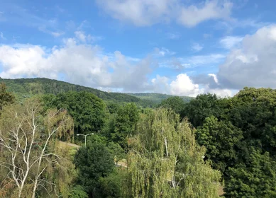 Appartamento intero in Druseltalstraße, immagine 23 di 27