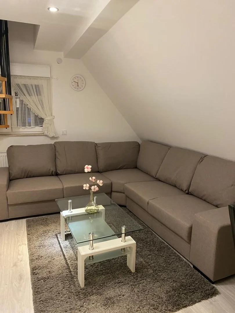 Habitación acogedora para estudiantes disponible en