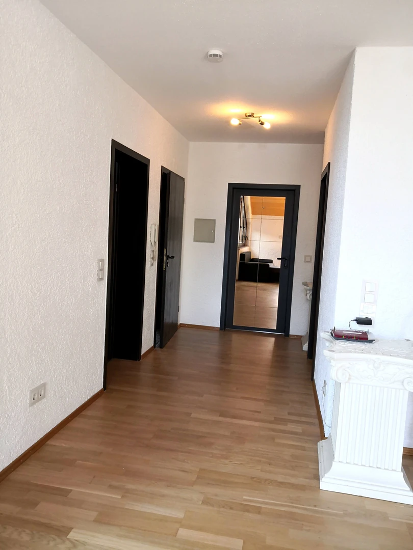 Room for rent in a shared flat in Mainz