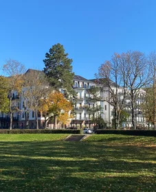 Kawalerka Hessenring, obraz 27 27